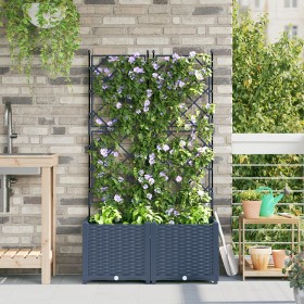 Macetero de Jardín con Enrejado 2 pcs Gris 80x40x143 cm