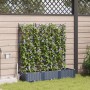 Maceteros  con sistema de riego 3 pcs Gris | Foro24.es | Tu tienda online para hogar, jardín y más Foro24.es