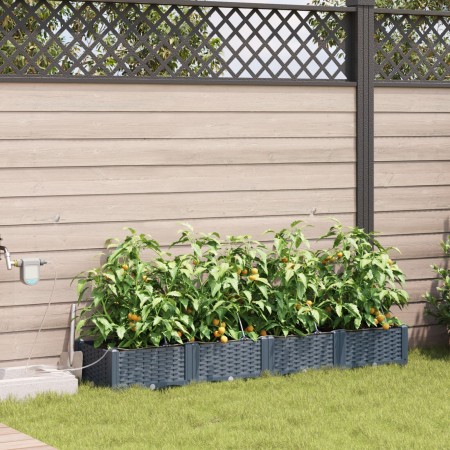 Macetero de Jardín Gris claro Plástico 160 x 40 x 22 cm Maceteros | Foro24.es | Tu tienda online para hogar, jardín y más Foro24.es