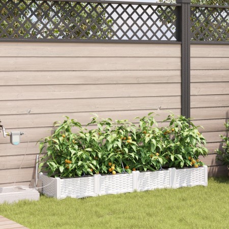 maceteros  con sistema de riego 4 pcs blanco | Foro24.es | Tu tienda online para hogar, jardín y más Foro24.es