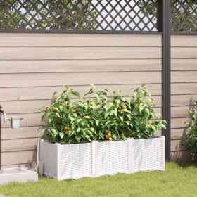 Maceteros de Jardín con Sistema de Riego por Agua