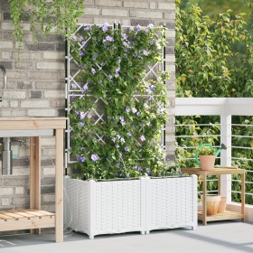Comprar Macetas de jardín con sistema de riego 2