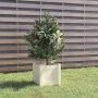 Solid white pine wood planter 31x31x31 cm by vidaXL, Pots and planters - Ref: Foro24-810524, Price: 20,92 €, Discount: %