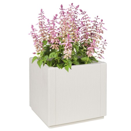 Macetero de Jardín  Blanco 36x36x35 cm PP | Foro24.es | Tu tienda online para hogar, jardín y más Foro24.es
