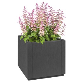 Macetero Gris Oscuro 36x36x35 cm PP von , Töpfe und Pflanzgefäße - Ref: Foro24-42006497, Preis: 41,39 €, Rabatt: %