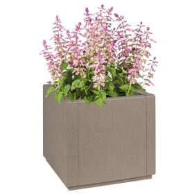 Macetero de Jardín Marrón Claro 36x36x35 cm PP by , Pots and planters - Ref: Foro24-42006498, Price: 44,61 €, Discount: %