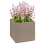 Macetero de Jardín Marrón Claro 36x36x35 cm PP by , Pots and planters - Ref: Foro24-42006498, Price: 44,61 €, Discount: %