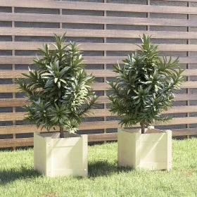 2 solid pine wood planters 31x31x31 cm by vidaXL, Pots and planters - Ref: Foro24-810525, Price: 35,36 €, Discount: %