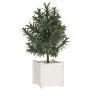 Jardineras 2 uds madera maciza de pino blanco 31x31x31 cm de vidaXL, Maceteros y jardineras - Ref: Foro24-810525, Precio: 35,...