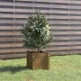 Solid brown pine wood planter 31x31x31 cm by vidaXL, Pots and planters - Ref: Foro24-810528, Price: 28,63 €, Discount: %