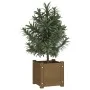 Solid brown pine wood planter 31x31x31 cm by vidaXL, Pots and planters - Ref: Foro24-810528, Price: 28,63 €, Discount: %