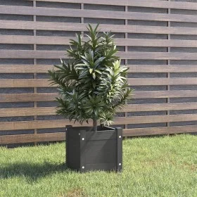 Solid gray pine wood planter 31x31x31 cm by vidaXL, Pots and planters - Ref: Foro24-810526, Price: 23,24 €, Discount: %