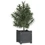 Solid gray pine wood planter 31x31x31 cm by vidaXL, Pots and planters - Ref: Foro24-810526, Price: 23,23 €, Discount: %