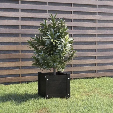 Solid black pine wood planter 31x31x31 cm by vidaXL, Pots and planters - Ref: Foro24-810530, Price: 20,92 €, Discount: %