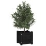 Solid black pine wood planter 31x31x31 cm by vidaXL, Pots and planters - Ref: Foro24-810530, Price: 21,11 €, Discount: %