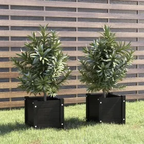 Pflanzgefäße 2 Stück aus massivem Kiefernholz schwarz 31x31x31 cm von vidaXL, Töpfe und Pflanzgefäße - Ref: Foro24-810531, Pr...