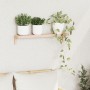 Estante de pared 62x10x12,5 cm de madera sólida de nuez von , Regale und Regale - Ref: Foro24-42009907, Preis: 21,04 €, Rabat...