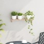 Estante de pared 62x10x12,5 cm de madera sólida de nuez