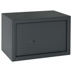 Caja Fuerte con Cerradura de Llave Gris Oscuro