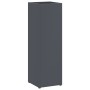Paraguero Antracita Metal Estándar Paraguero Rectangular von , Schirmständer - Ref: Foro24-868484, Preis: 38,61 €, Rabatt: %