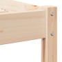 Estructura de cama con cabecero madera maciza pino 160x210 cm | Foro24.es | Tu tienda online para hogar, jardín y más Foro24.es