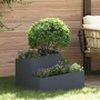 Macetero de Plástico Antracita Plástico Mediano Duradero | Foro24.es | Tu tienda online para hogar, jardín y más Foro24.es
