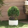 Macetas de Cerámica Blanca Blanca Cerámica 30 cm de diámetro | Foro24.es | Tu tienda online para hogar, jardín y más Foro24.es