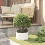 Macetas de Cerámica Blanca Blanca Cerámica 30 cm de diámetro | Foro24.es | Tu tienda online para hogar, jardín y más Foro24.es