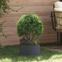 Macetero de Metal Antracita Antracita Metal Mediano | Foro24.es | Tu tienda online para hogar, jardín y más Foro24.es