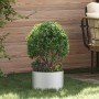 Maceta de Metal Galvanizado Galvanizado Metal Galvanizado | Foro24.es | Tu tienda online para hogar, jardín y más Foro24.es