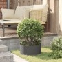 Maceteros de Plástico Negro Negro Plástico Mediano Resistente | Foro24.es | Tu tienda online para hogar, jardín y más Foro24.es