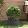 Maceta Plástica Gris Antracita Plástico Mediana Apilable | Foro24.es | Tu tienda online para hogar, jardín y más Foro24.es