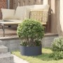 Maceta Plástica Gris Antracita Plástico Mediana Apilable | Foro24.es | Tu tienda online para hogar, jardín y más Foro24.es