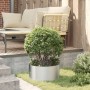 Macetero de metal gris Galvanizado Metal Pequeño by , Pots and planters - Ref: Foro24-873616, Price: 31,48 €, Discount: %