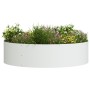 Conjunto de Maceteros Blancos Blanco Metal Grande Macetero | Foro24.es | Tu tienda online para hogar, jardín y más Foro24.es