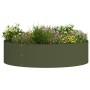 Macetero Verde Oliva Verde oliva Metal Grande Diseño Decorativo von , Töpfe und Pflanzgefäße - Ref: Foro24-873626, Preis: 42,...