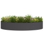 macetero de metal negro grande Negro Metal Grande von , Töpfe und Pflanzgefäße - Ref: Foro24-873634, Preis: 47,24 €, Rabatt: %