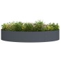 Maceta de Metal Antracita Antracita Metal Grande Duradera | Foro24.es | Tu tienda online para hogar, jardín y más Foro24.es