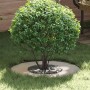 Macetero de Acero Inoxidable Acero Inoxidable Mediano Elegante | Foro24.es | Tu tienda online para hogar, jardín y más Foro24.es