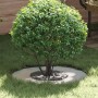 Macetero Galvanizado Galvanizado Metal Mediano Duradero | Foro24.es | Tu tienda online para hogar, jardín y más Foro24.es