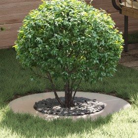 Macetero de acero inoxidable Acero inoxidable Grande Duradero de , Maceteros y jardineras - Ref: Foro24-873685, Precio: 148,4...