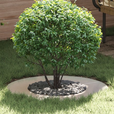 Macetero de acero inoxidable Acero inoxidable Grande Duradero | Foro24.es | Tu tienda online para hogar, jardín y más Foro24.es