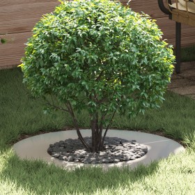 Macetero Galvanizado Galvanizado Metal Galvanizado Mediano de , Maceteros y jardineras - Ref: Foro24-873687, Precio: 75,40 €,...