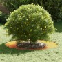 Macetero de Acero Corten Acero corten Mediano Detalles Decorativos by , Pots and planters - Ref: Foro24-873689, Price: 83,68 ...
