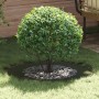 Macetero de Cerámica Verde oliva Cerámica Grande | Foro24.es | Tu tienda online para hogar, jardín y más Foro24.es