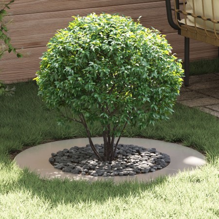 Macetero de acero inoxidable Acero inoxidable Grande Duradero | Foro24.es | Tu tienda online para hogar, jardín y más Foro24.es