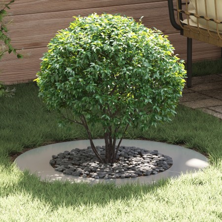 Macetero de Metal Galvanizado Galvanizado Metal Galvanizado Grande | Foro24.es | Tu tienda online para hogar, jardín y más Foro24.es