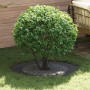 Macetero de Plástico Negro Plástico Grande | Foro24.es | Tu tienda online para hogar, jardín y más Foro24.es