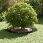 Macetero Verde Oliva de Metal Verde oliva Metal Grande Macetero | Foro24.es | Tu tienda online para hogar, jardín y más Foro24.es