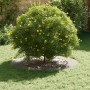 Macetero de Acero Inoxidable Acero inoxidable Grande | Foro24.es | Tu tienda online para hogar, jardín y más Foro24.es